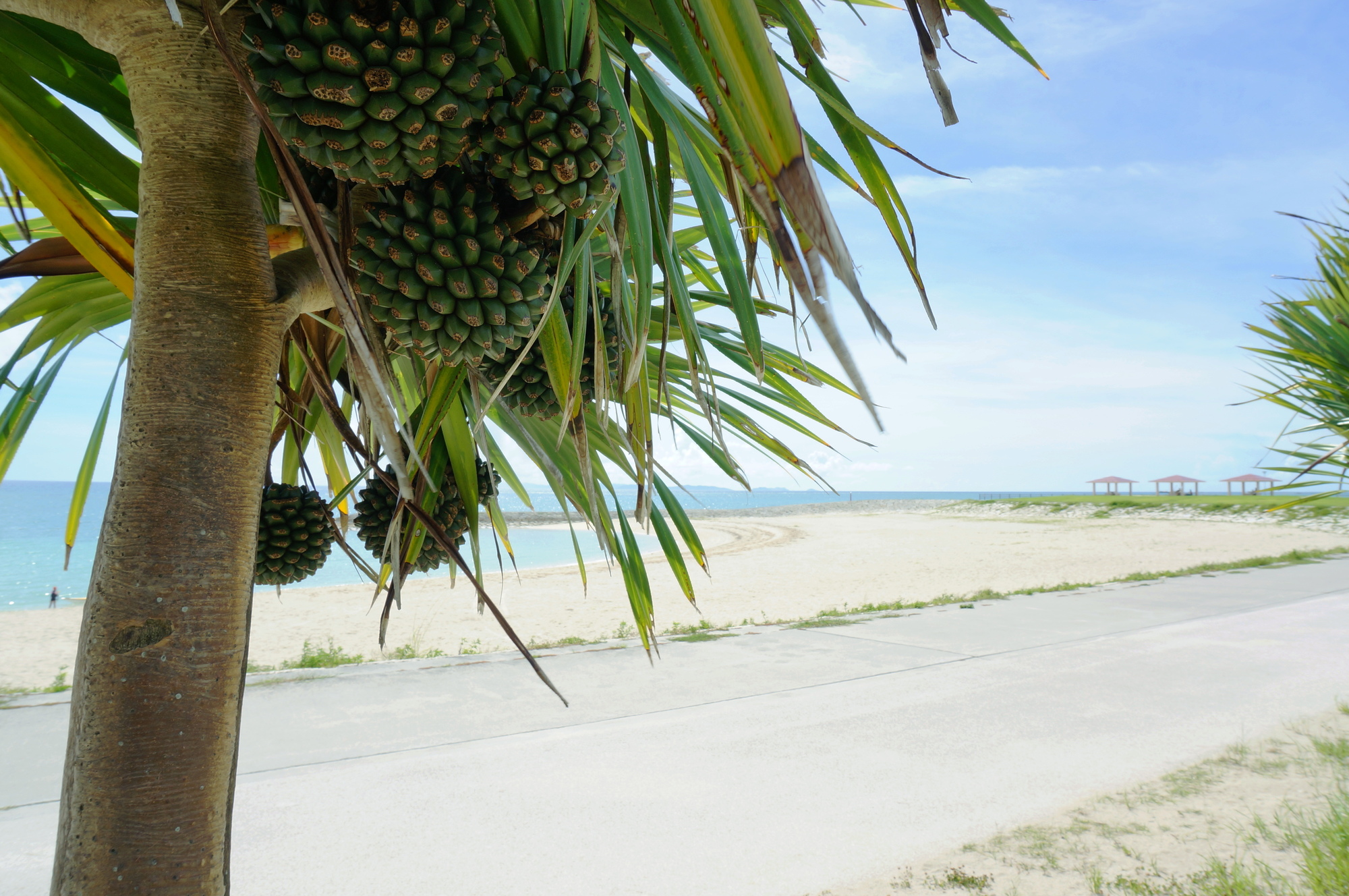 競技ルールのイメージ
